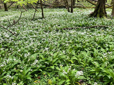 22-04-25 12-16-55 0624